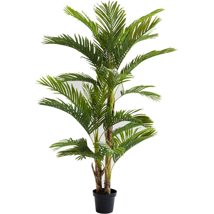 Objeto Decorativo Plant Palm Tree 190 cm
