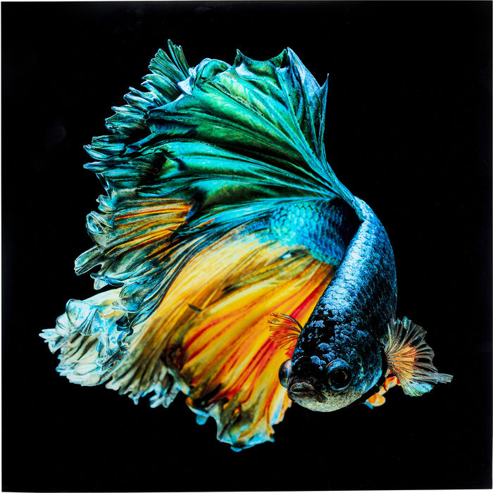 Cuadro de Vidrio Aqua Queen Fish 100x100 cm