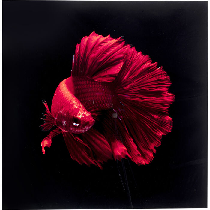 Cuadro de Vidrio Fire Fish 100x100 cm